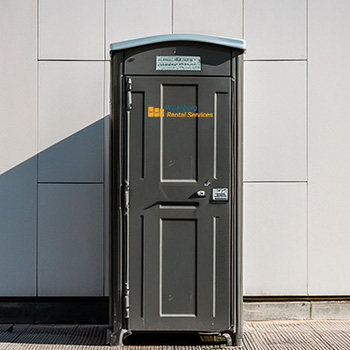 Standard Flushable Portable Toilets
